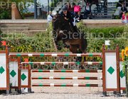 CURCIO CARRY MONEY CampITA2013- S5 0350 : CARRY MONEY, CURCIO SERENA, Campionati Italiani 2013, Cattolica, Horse Riviera Resort, foto di Stefano Secchi ©